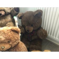 Diverse teddy knuffels ????