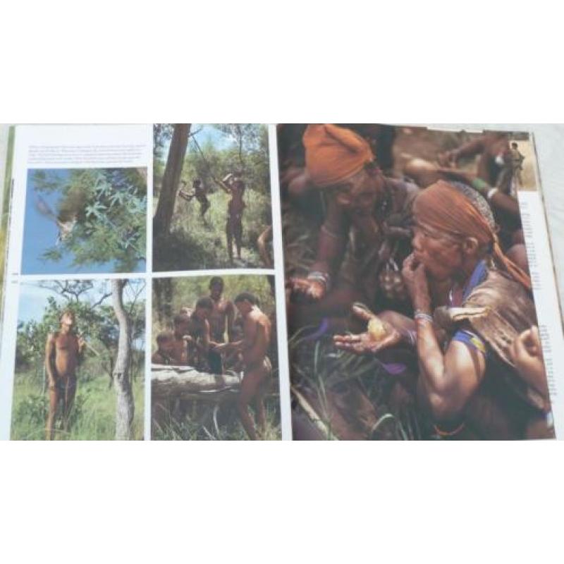 The Bushmen