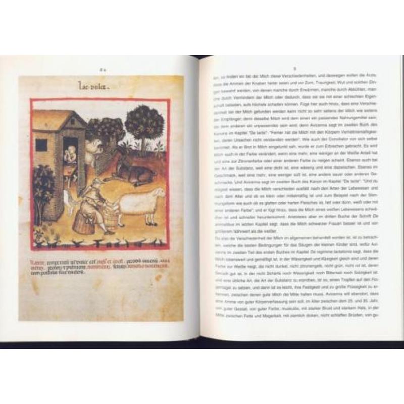 Summe der Milchprodukte; Panthaleonis Conflentia; 1477 /////