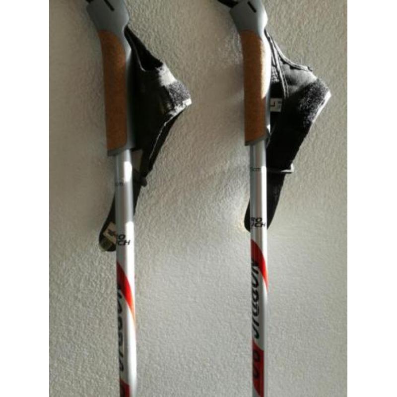 Nordic 9.0 pro touch walking sticks