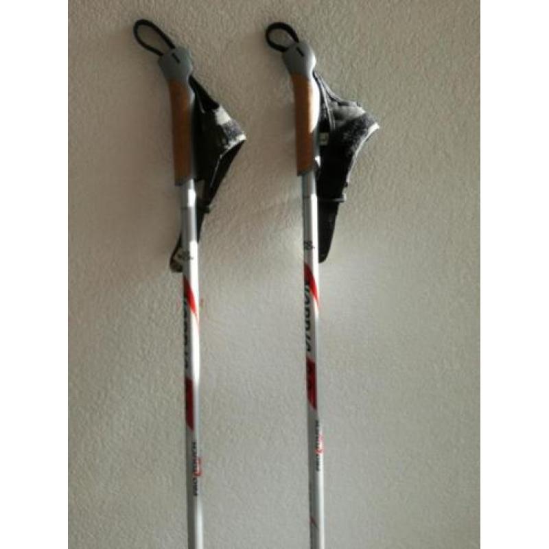 Nordic 9.0 pro touch walking sticks
