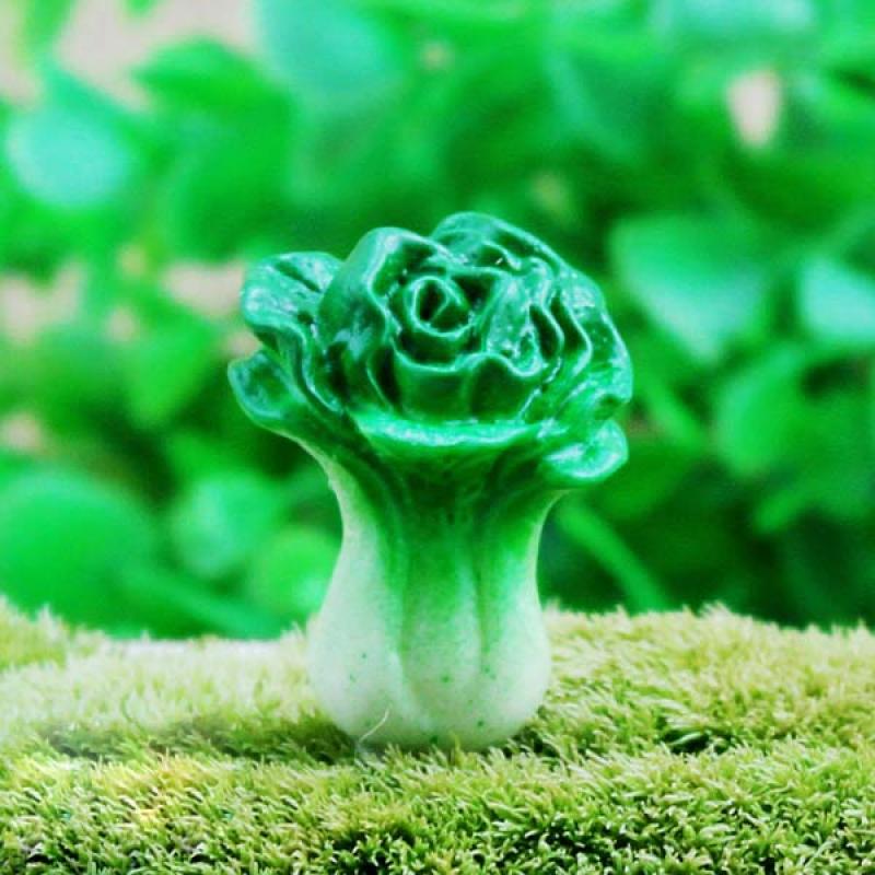 Micro Landscape Decor Mini Chinese Cabbage Eco Bottle Landscaping