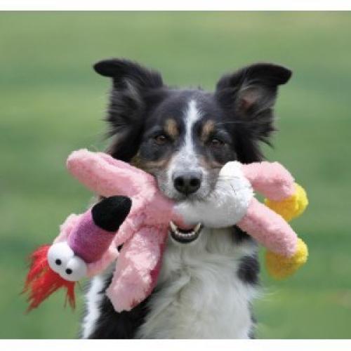 Hond Speelgoed Kong Wild Knots voor de hond Small medium